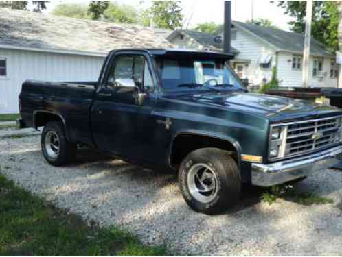 Chevrolet Other Pickups (1987)