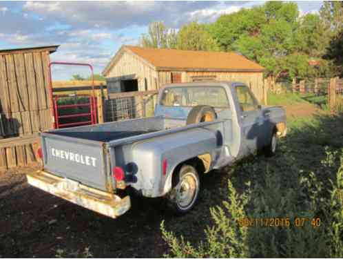 Chevrolet Other Pickups (1973)