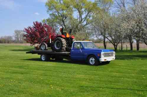 Chevrolet Other Pickups (1972)