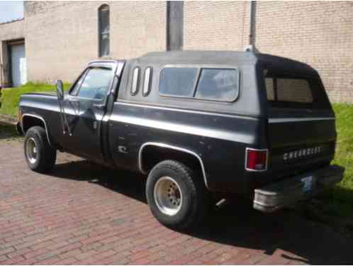 1979 Chevrolet Other Pickups