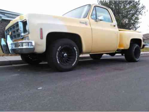 1977 Chevrolet Silverado 1500 1500