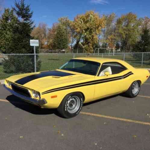 Dodge Challenger R/T Clone (1973)