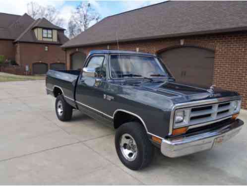 Dodge Other Power Ram W100 (1988)