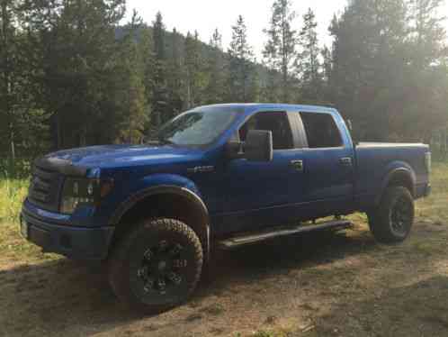 20100000 Ford F-150 FX4