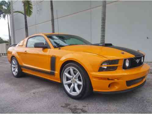 2007 Ford Mustang 302