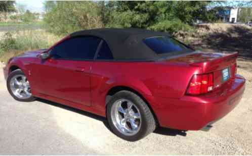 2003 Ford Mustang Cobra SVT Terminator