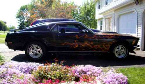 Ford Mustang FASTBACK (1970)