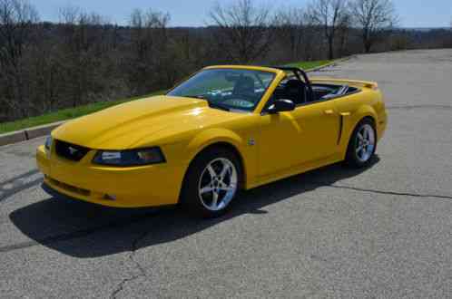 20040000 Ford Mustang GT