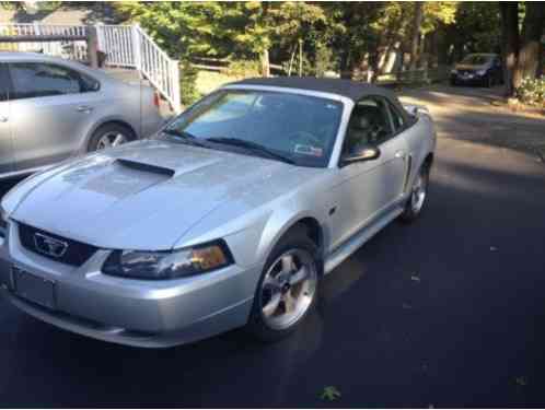 Ford Mustang GT Convertib (2002)