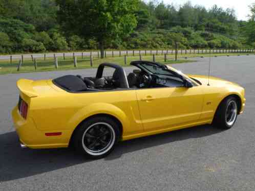 Ford Mustang GT Premium Convertible (2006)