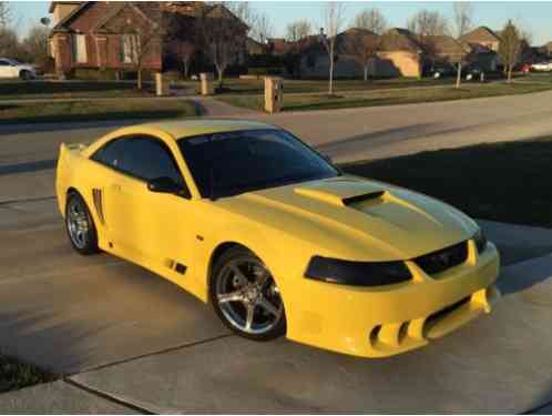 Ford Mustang Saleen (2002)