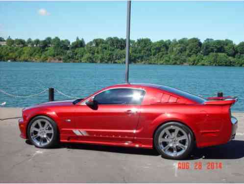 Ford Mustang Saleen (2005)