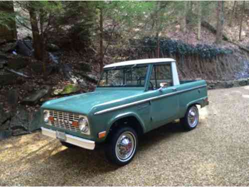 1969 Ford Other Pickups Half Cab