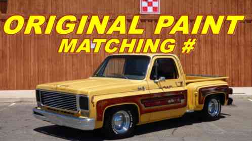 GMC Sierra 1500 C-10, PICKUPS, (1978)