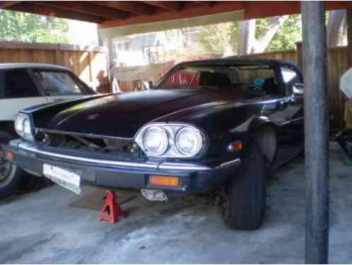 Jaguar XJS (1989)