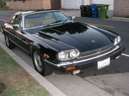 Jaguar XJS Super Clean/Low (1984)