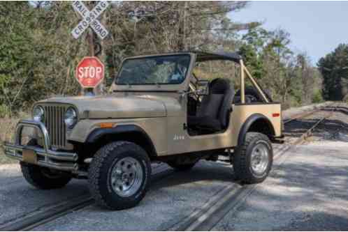 Jeep CJ (1976)