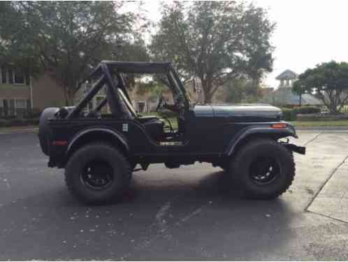 1979 Jeep CJ CJ 5