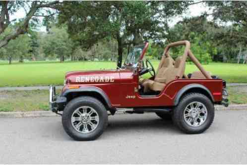 Jeep CJ Custom (1980)