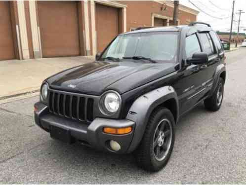 Jeep Liberty 4x4 Freedom Edition (2003)