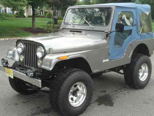 Jeep Other (1981)