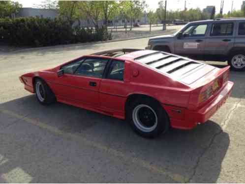 Lotus Esprit HCI (1987)