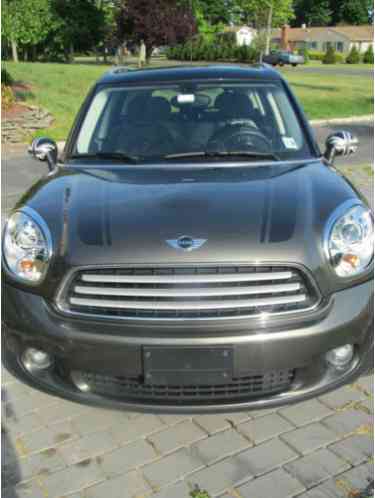 Mini Countryman (2013)