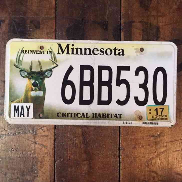 Minnesota License Plate Big Buck Whitetail Deer Critical