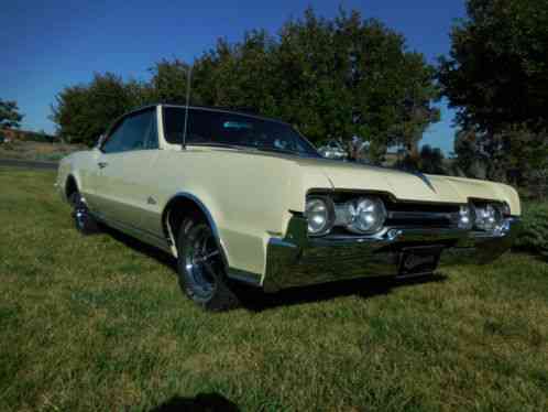 Oldsmobile 442 Turnpike Cruiser (1967)