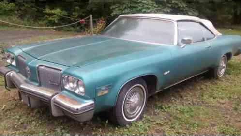 1974 Oldsmobile Eighty-Eight delta 88