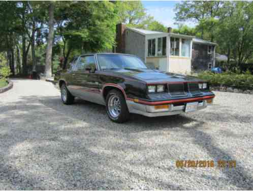 Oldsmobile Hurst Oldsmobile 15th (1983)