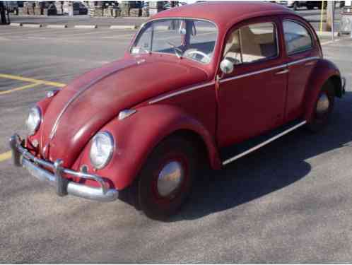 1962 Other Makes Beetle