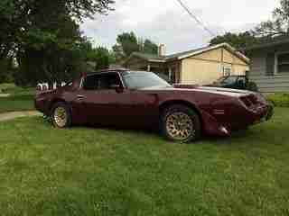 1981 Pontiac Firebird