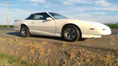 1991 Pontiac Firebird v8 firebird