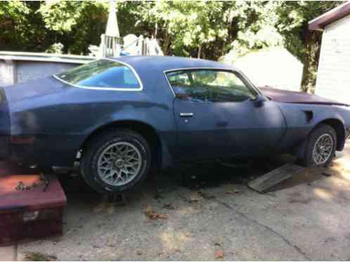 1981 Pontiac Trans Am