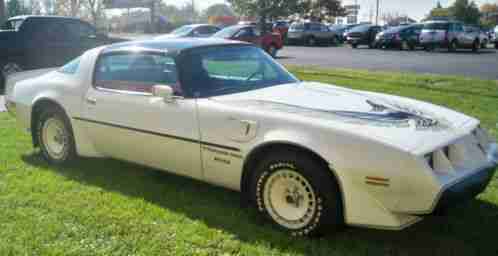 Pontiac Trans Am NASCAR Pace Car (1981)