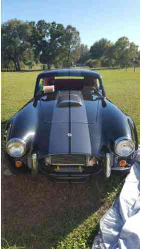 Shelby SHELBY COBRA REPLICA COUPE (1966)