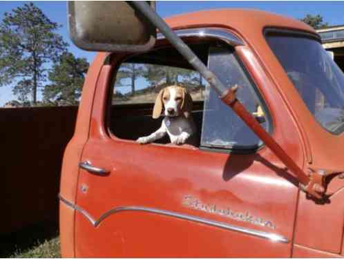 Studebaker Chassis Cab (1959)