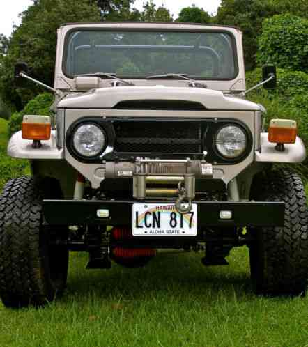 19760000 Toyota FJ Cruiser