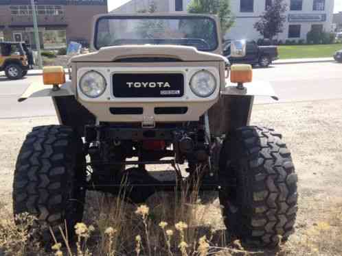 1981 Toyota Land Cruiser