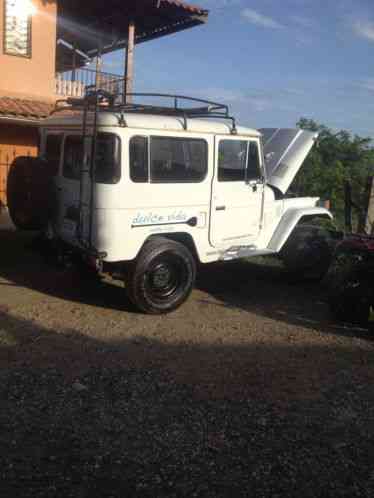 1979 Toyota Land Cruiser