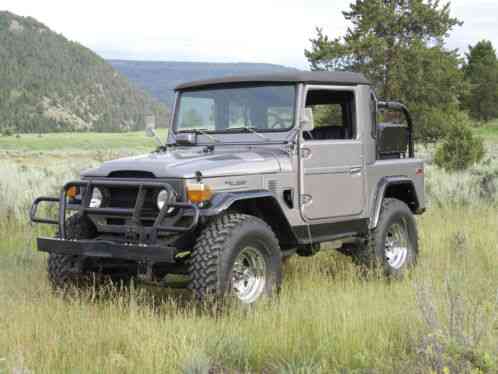 Toyota Other FJ40 1975, Custom half cab , Icon style - body off rebuild