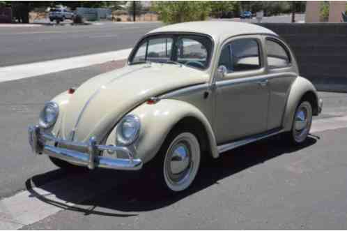 Volkswagen Beetle - Classic (1964)