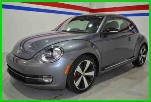 Volkswagen Beetle - Classic 2. 0T (2012)