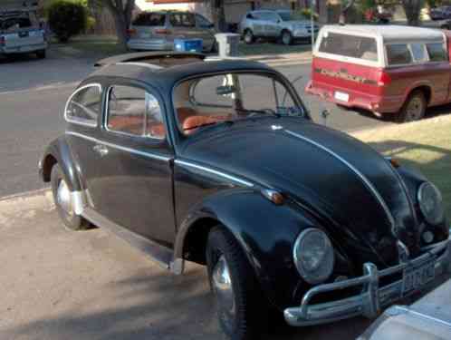 Volkswagen Beetle - Classic (1964)