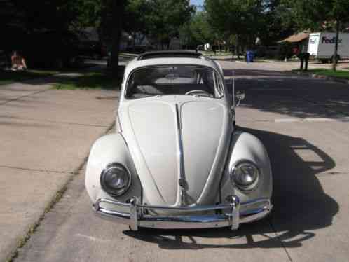 Volkswagen Beetle - Classic (1964)