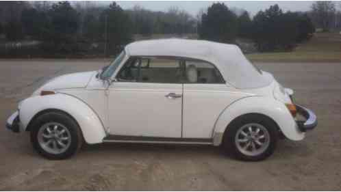 1976 Volkswagen Beetle - Classic