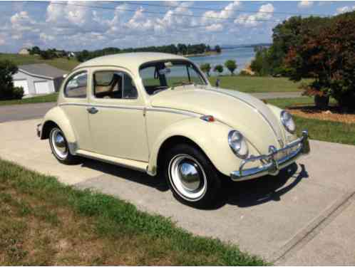 Volkswagen Beetle - Classic (1964)