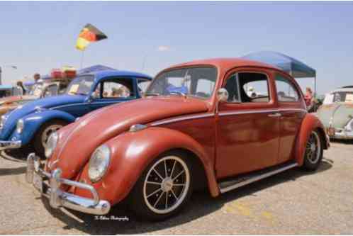 Volkswagen Beetle - Classic Beetle (1964)