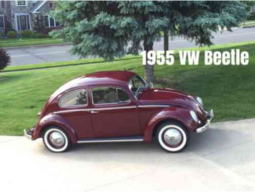 Volkswagen Beetle - Classic (1955)